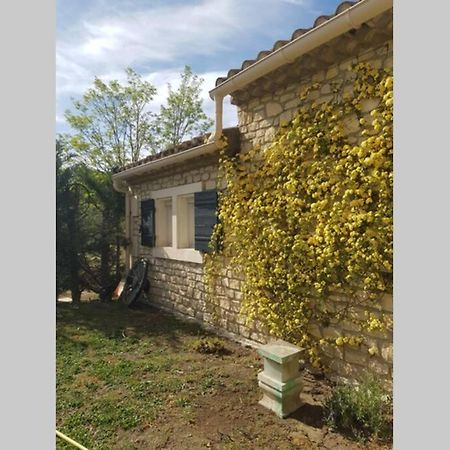 Appartement 2 Pers Avec Acces Piscine Saint-Rémy-de-Provence Exteriör bild