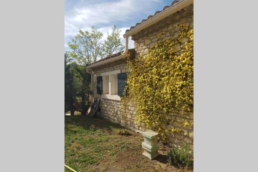 Appartement 2 Pers Avec Acces Piscine Saint-Rémy-de-Provence Exteriör bild